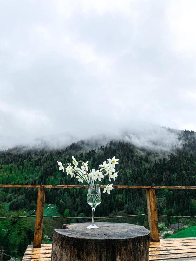 Mitarbi Silence - Cozy Holiday Cottages In Mountains Bordžomi Exteriér fotografie
