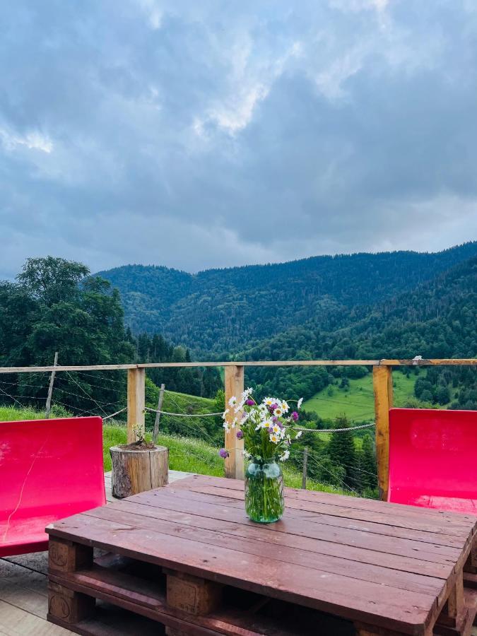 Mitarbi Silence - Cozy Holiday Cottages In Mountains Bordžomi Exteriér fotografie