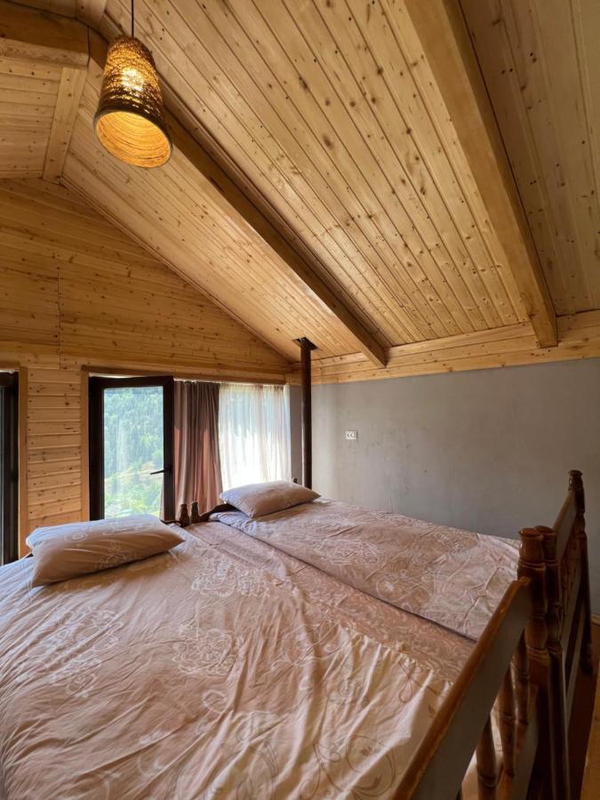 Mitarbi Silence - Cozy Holiday Cottages In Mountains Bordžomi Exteriér fotografie