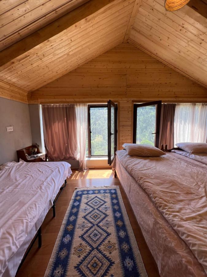 Mitarbi Silence - Cozy Holiday Cottages In Mountains Bordžomi Exteriér fotografie