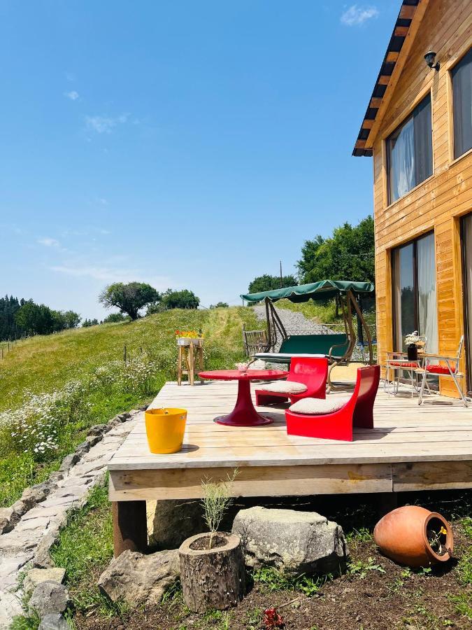 Mitarbi Silence - Cozy Holiday Cottages In Mountains Bordžomi Exteriér fotografie