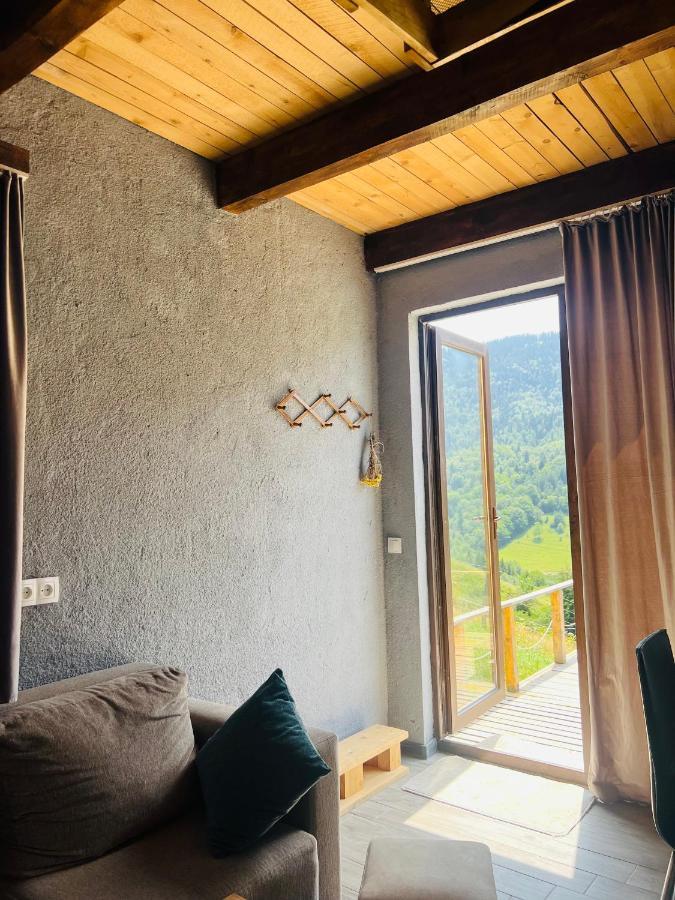 Mitarbi Silence - Cozy Holiday Cottages In Mountains Bordžomi Exteriér fotografie