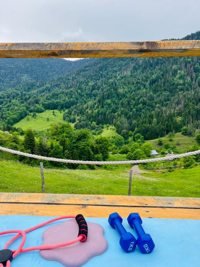 Mitarbi Silence - Cozy Holiday Cottages In Mountains Bordžomi Exteriér fotografie